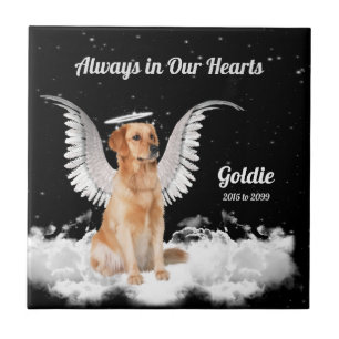 Memorial do Pet Ouro Retriever Angel Dog