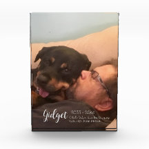 Memorial dos Títulos de Foto do Meu Cão Campeão