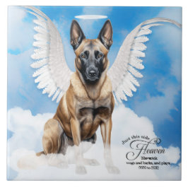 Memorial Personalizado Pet do Anjo Belga Malinois