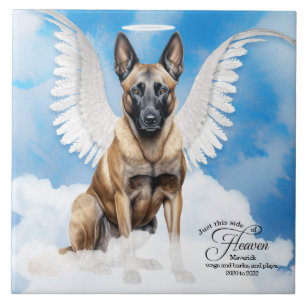 Memorial Personalizado Pet do Anjo Belga Malinois