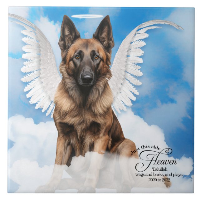 Memorial Personalizado Pet do Anjo Tervuren Belga (Frente)