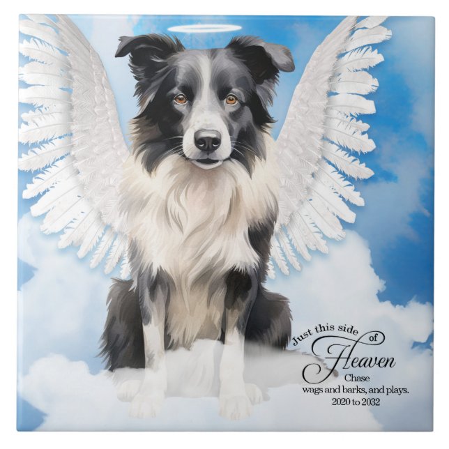 Memorial Personalizado Pet Pet do Anjo de Collie F (Frente)