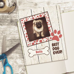 Menina de Cachorro de Estimação Foto Scrapbook Pap