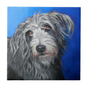"Menina do Lurcher da papoila bonito" -