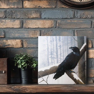 Mensageiro Raven Winter