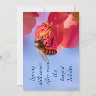 Mensagem de Primavera inspiração