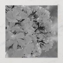 Menu Floral com Cortina Branca