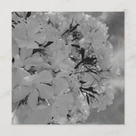 Menu Floral com Cortina Branca