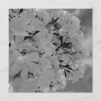 Menu Floral com Cortina Branca