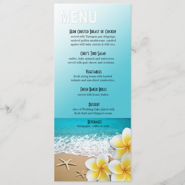 Menu Janto Plumeria Starfish (Frente)