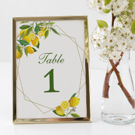 Menu Placa de Número da Tabela de Expressão Principal d