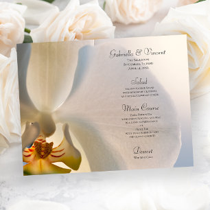 Menu White Orchid Flower Elegance