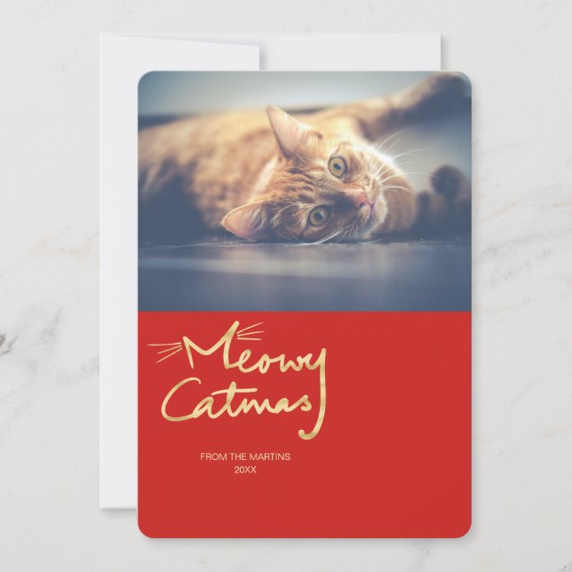 Meowy Catmas Dourado Cartões de foto de Natal de G (Frente)