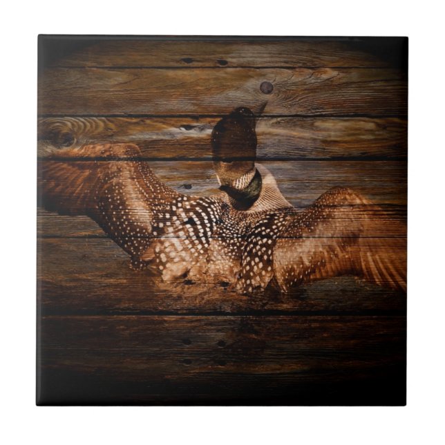 Mergulhão-do-norte de madeira das aves aquáticas (Frente)