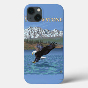 Mergulho da águia americana - Yellowstone