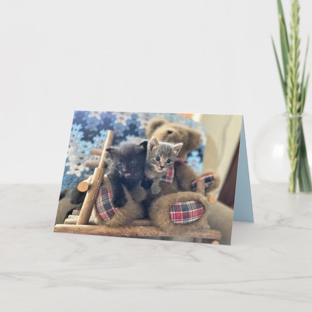 Merlin & Guinevere - Cartão de Aniversário de Gato (Frente)