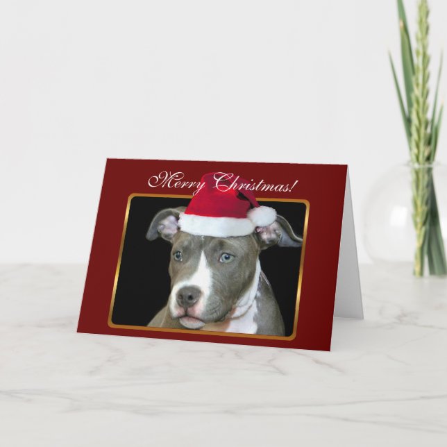 Merry Christmas pitbull com cartão de saudação (Frente)