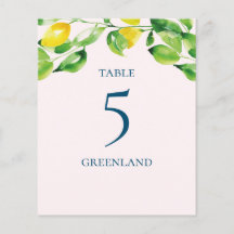 Mesa de Limões e Folhagens de Verão