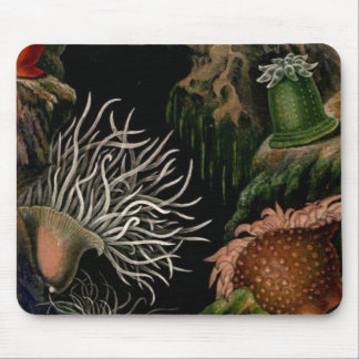 Mesa/escritório náuticos de SeaLife Mousepad da