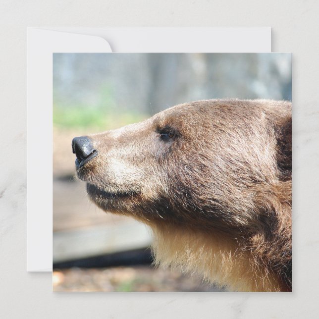 Mestre Bruin (Frente)