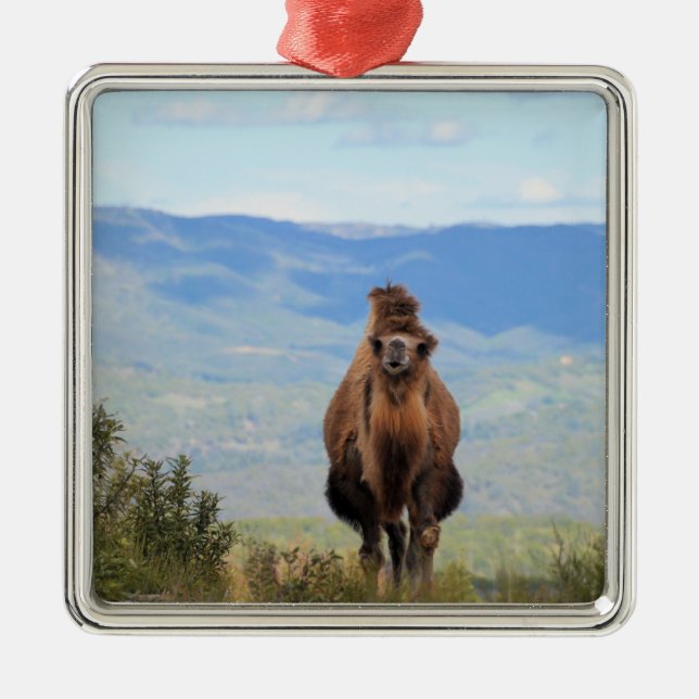 Metal Caminhe com o ornamento cerâmico de Muffin (Frente)