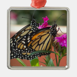Metal O monarca junta o ornamento quadrado de #1-premium