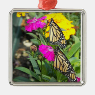 Metal O monarca junta o ornamento quadrado de #2-premium