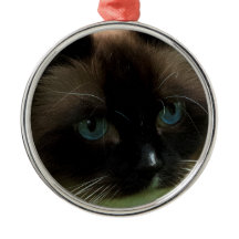 Ornamento bonito do gato de Ragdoll
