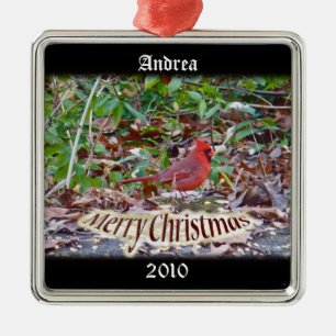 Metal Ornamento Cardeal de Feliz Natal para Personalizar