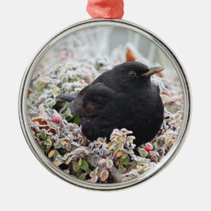 Metal Ornamento cerâmico de Winter Blackbird