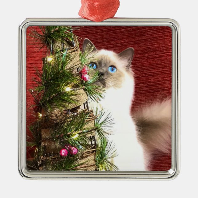 Metal Ornamento da árvore de Natal de Birman (Frente)