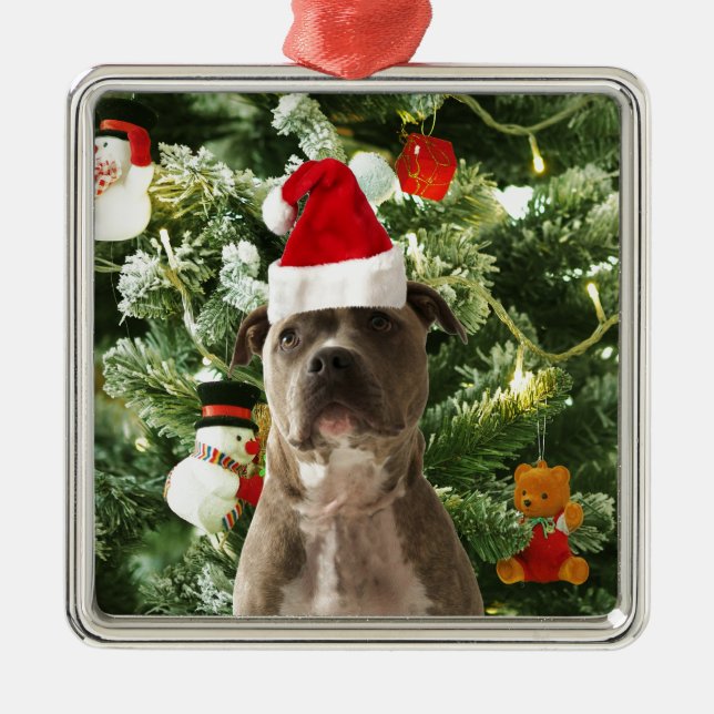 Metal Ornamento de Árvores de Natal do Cão Pitbull Snowm (Frente)