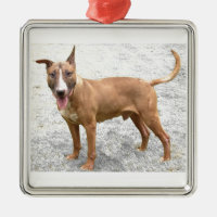 Ornamento de bull terrier do inglês