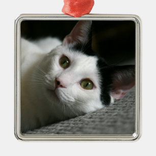 Metal Ornamento de Cat