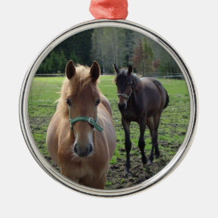 Metal Ornamento de cavalos