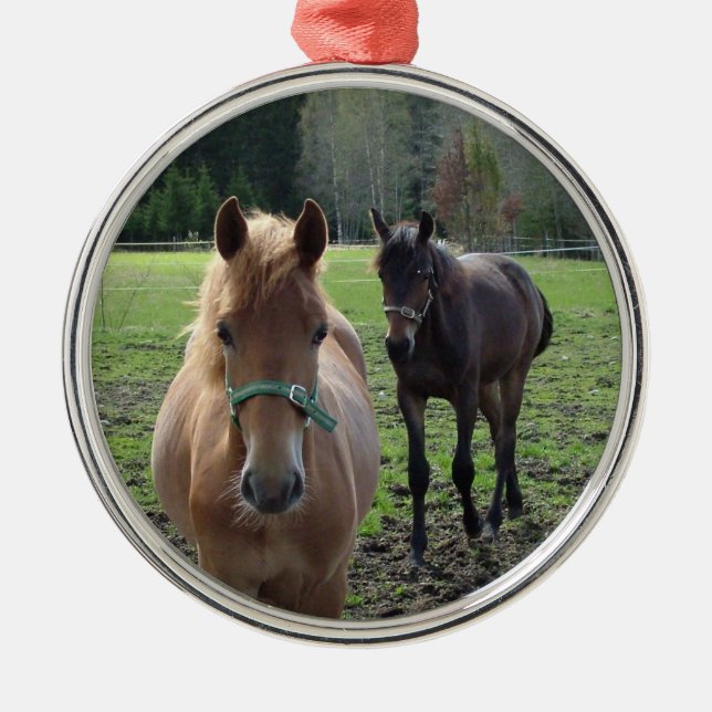 Metal Ornamento de cavalos (Frente)