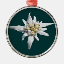 Ornamento de Edelweiss
