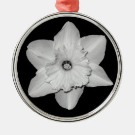 Metal Ornamento de Fechamento do Daffodil (B&W)