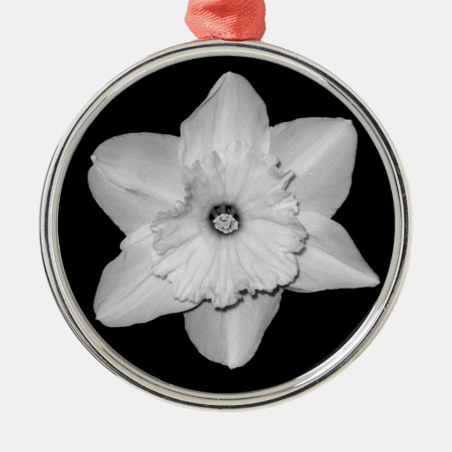 Metal Ornamento de Fechamento do Daffodil (B&W) (Frente)