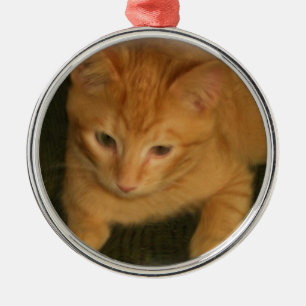 Metal Ornamento de Fotografia do gatinho