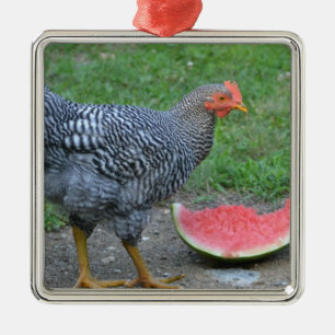Metal Ornamento de frango