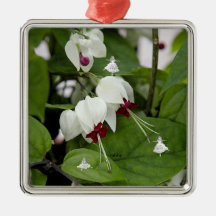 Ornamento de Lâminas Brancas Láteas