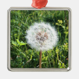 Metal Ornamento de metais dandelion