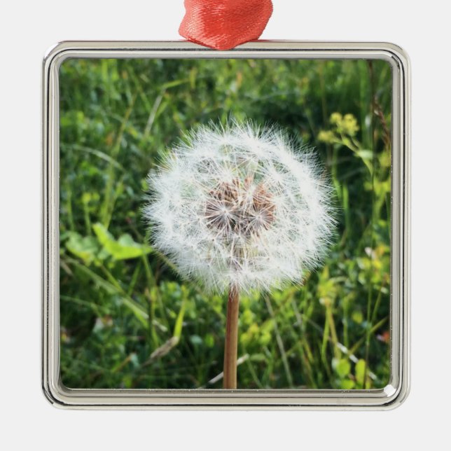 Metal Ornamento de metais dandelion (Frente)
