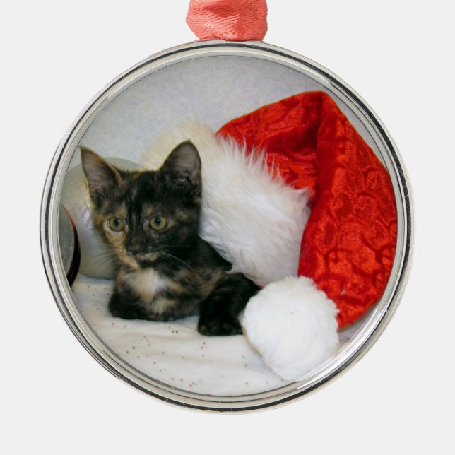 Metal Ornamento de Natal de Holley (Cat / Kitten) (Frente)