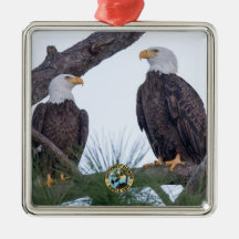 Ornamento de Objetivos de Casal do SWFL Eagle