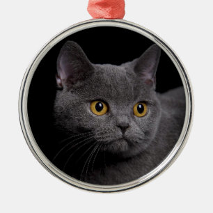 Metal Ornamento de Prêmio Shorthair Britânico