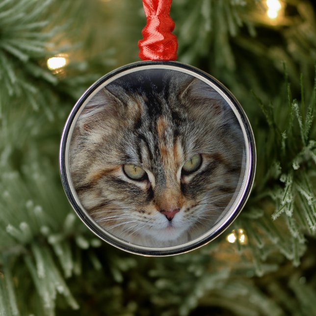 Metal Ornamento de Retrato de Cat Tabby de Natal (Árvore)