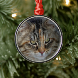 Metal Ornamento de retrato de gato tabby de Natal