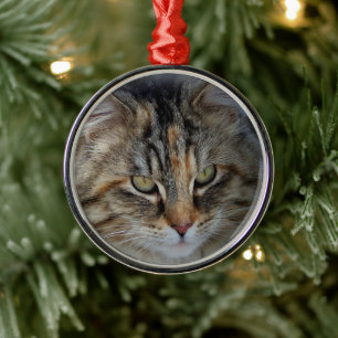 Metal Ornamento de retrato de gato tabby de Natal